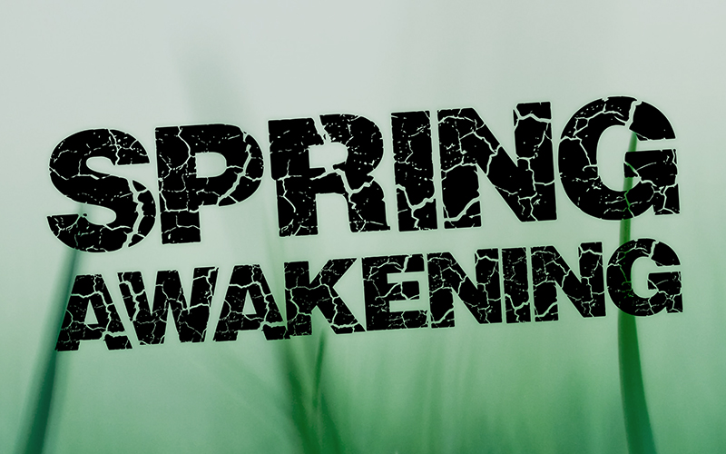 Spring Awakening